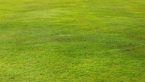 Full frame shot of soccer field