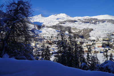 Snow covered trees and buildings against sky