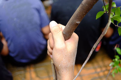 Close-up of hands holding plant