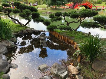 Reflection of trees in lake