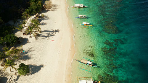 Aerial drone tropical island and sand beach with palm trees. malajon island, philippines, palawan. 