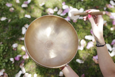 Cropped woman hands holding bowl above field