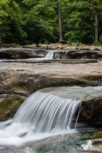 Scenic view of waterfall in forest