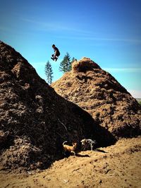 Low angle view of boy jumping on haystack against blue sky