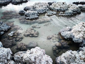 High angle view of rocks in water