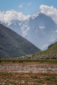 Scenic view of landscape and mountains against sky