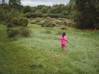 Rear view of girl on grassy field
