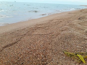 Gravels on shore of beach