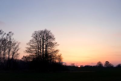 Silhouette trees on field against sky at sunset