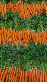 High angle view of vegetables for sale, carrots 