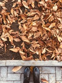 View from above at the bunch pf autumn yellow leaves on the ground