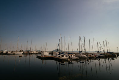 Sailboats in marina