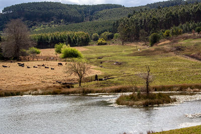 Scenic view of landscape