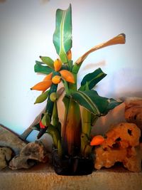 Close-up of flower vase on table against wall