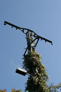 Low angle view of trees against clear blue sky