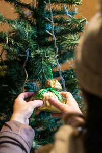 Midsection of woman holding christmas tree