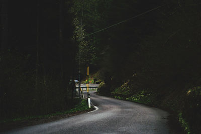 Empty road amidst trees in city at night