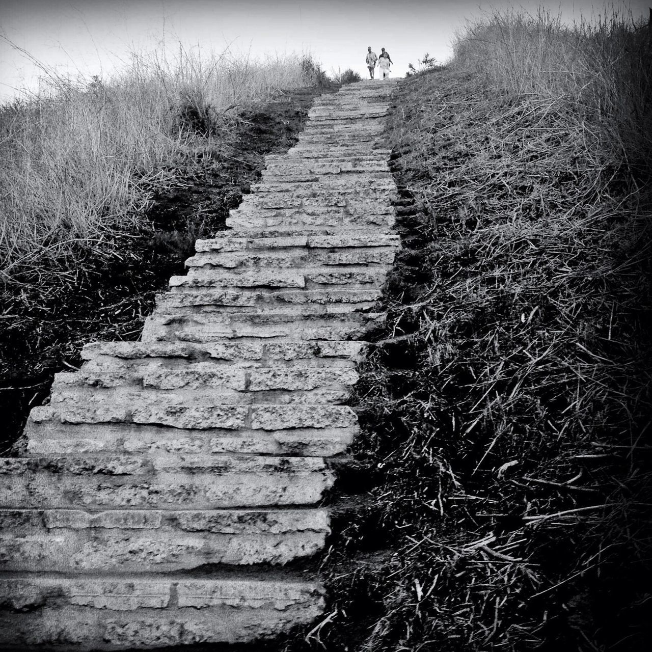 the way forward, tranquility, tranquil scene, sunlight, diminishing perspective, nature, footpath, tree, shadow, plant, boardwalk, pathway, growth, day, vanishing point, outdoors, steps, sky, walkway, sand