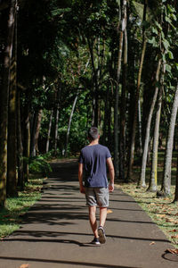 Boy walking through tropical garden full of palm trees - back view