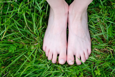 Feet barefoot on the grass, top view