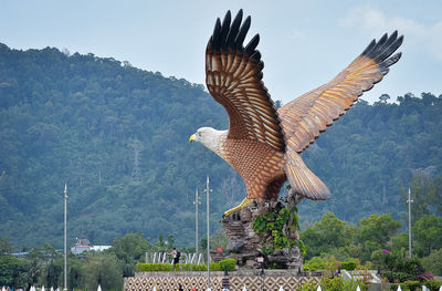 Flock of birds flying over mountain against sky