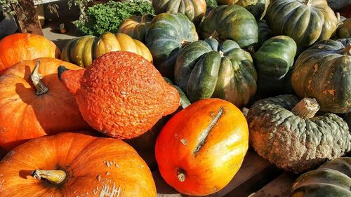 Close-up of pumpkins in market