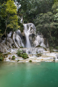 Scenic view of waterfall in forest