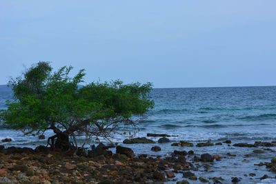 Scenic view of sea against clear blue sky