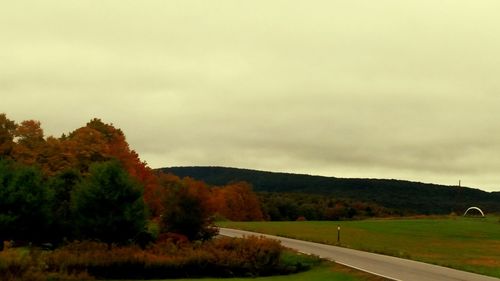 Road passing through forest