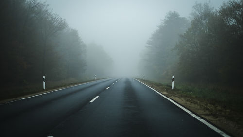 Moody road leads into the fog.