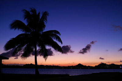 Silhouette palm trees against sky during sunset