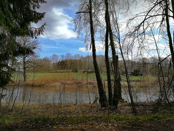 Scenic view of lake in forest against sky