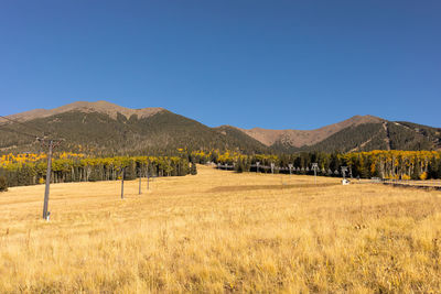 Scenic view of field against clear sky