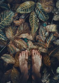 Low section of person legs