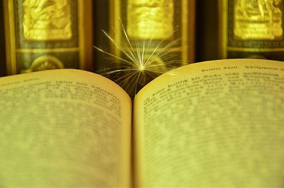 Close-up of book on table