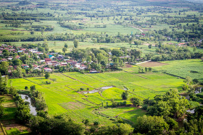 Scenic view of agricultural field and houses in village