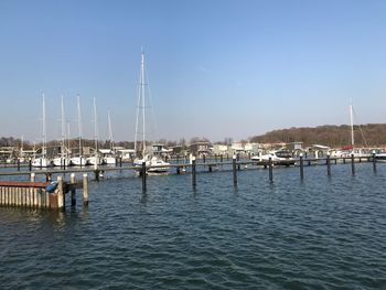 Sailboats in marina at harbor against clear sky