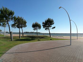 Street by palm trees against clear sky