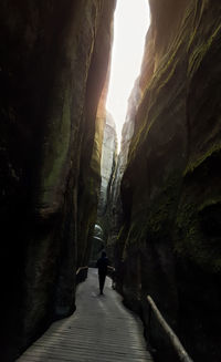 Rear view of man walking on rock