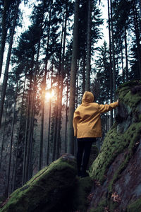 Rear view of person standing on rocks at forest