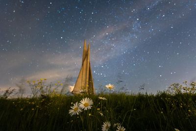 Scenic view of flowering plants on field against sky