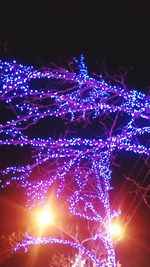 Low angle view of illuminated ferris wheel at night