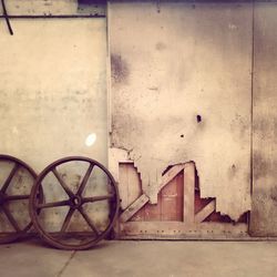 Close-up of tree stump