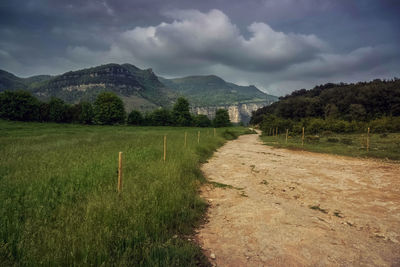 Scenic view of field against sky