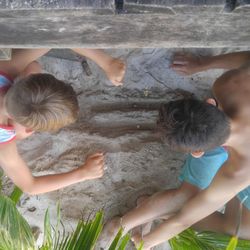 Directly above shot of kids playing outdoors