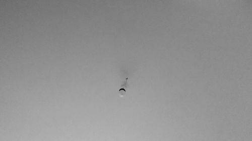 Low angle view of bird flying in sky
