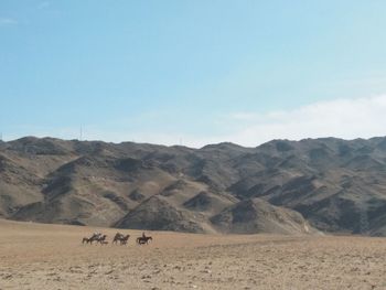 View of a desert
