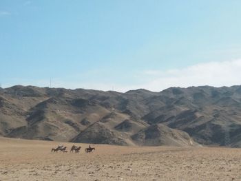 View of a desert