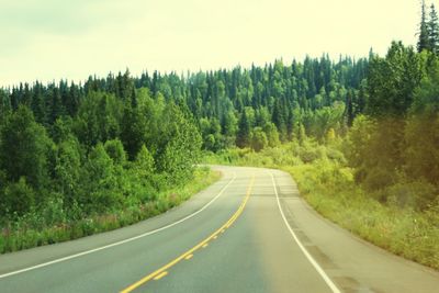 Road amidst trees in forest against sky