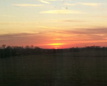 Scenic view of field against sky during sunrise